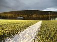 Rohelise muruga jalgpalliväljakud Norras.  | Kunstmurukattega spordiväljakud Jalgpalliväljaku äärjoonte märgistus on kunstmuru kasutamisel märksa püsivam ega vaja pidevat uuendamist. Kunstmuru kasutamine jalgpalliväljakul võimaldab kokku hoida hoolduskulude arvelt.  